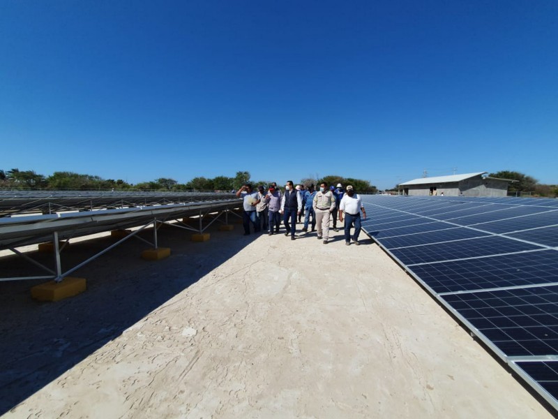 Inicia operaciones la granja solar en Santa María del Mar