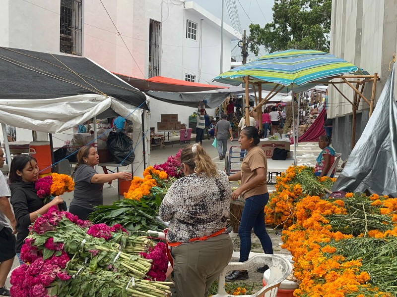 Inicia Plaza de Todos Santos en Tuxpan Inicia Plaza de Todos Santos en Tuxpan