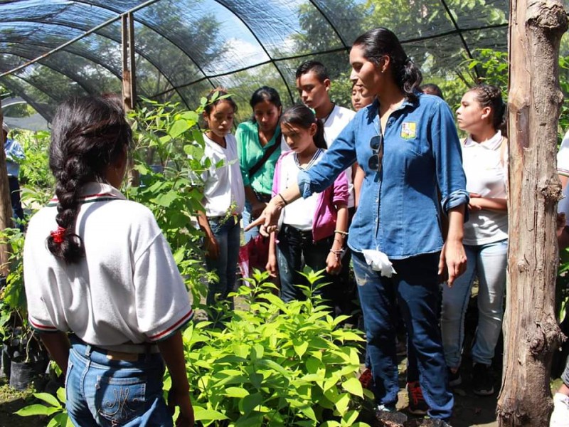 Inicia programa de reforestación Plantas Nativas Nayaritas