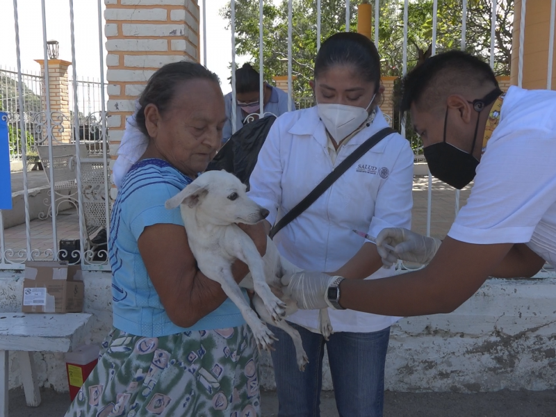 Inicia programa de vacunación antirrábica 2021 en Tehuantepec