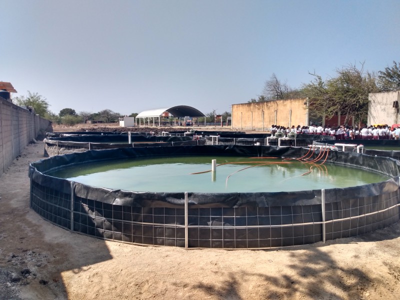 Inicia proyecto de estanques de geomembranas de mojarra tilapia