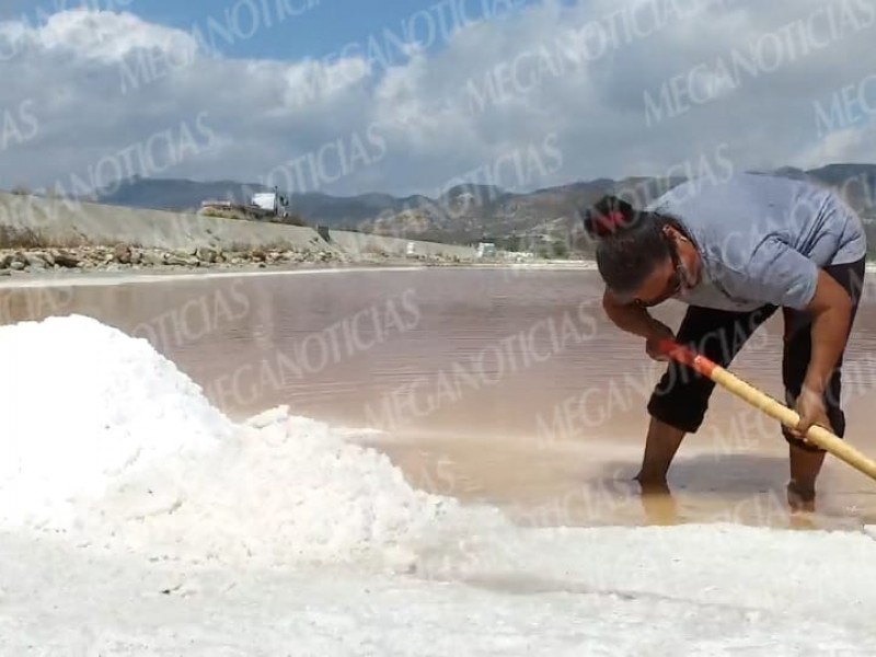 Inicia recolección de sal en Salinas del Marqués