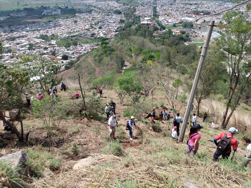 Inicia reforestación del Cerro de la Cruz