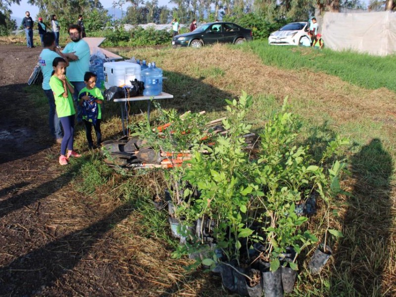 Inicia reforestación en el parque lineal de Atecucario