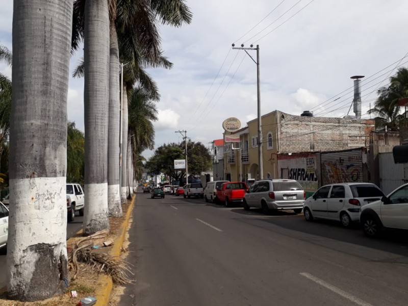 Inicia SOP encuesta sobre proyecto en avenida Jacarandas