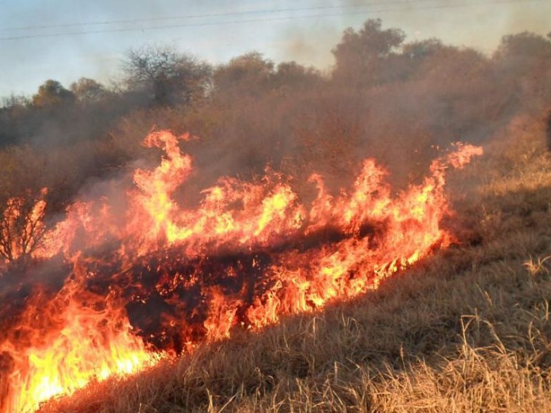 Inicia temporada de quema de pastizales en Michoacán