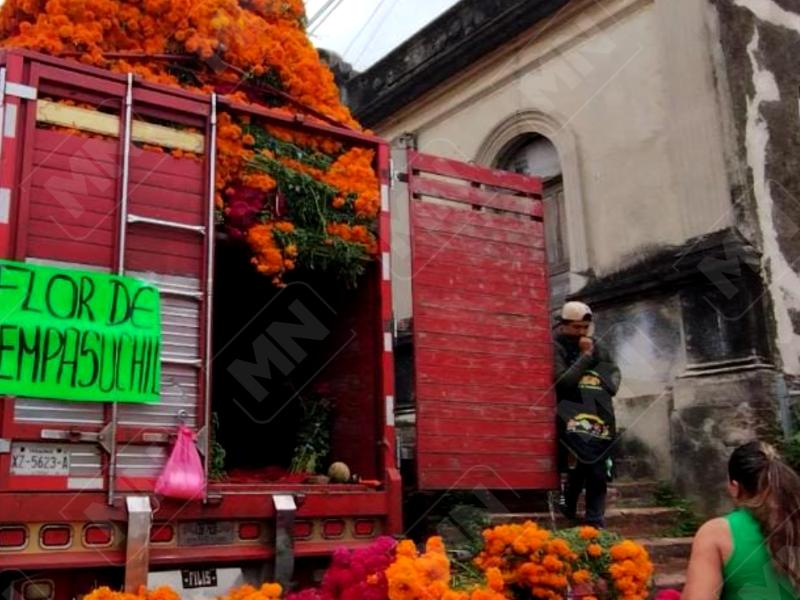 Inicia temporada de venta de Cempasúchil en Tuxpan