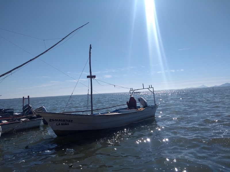 Inicia veda del camarón en aguas marinas del Océano Pacífico