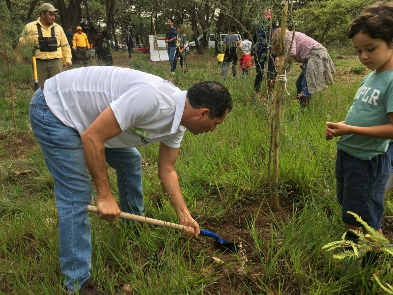 Inicia Zapopan programa de reforestación en la Primavera