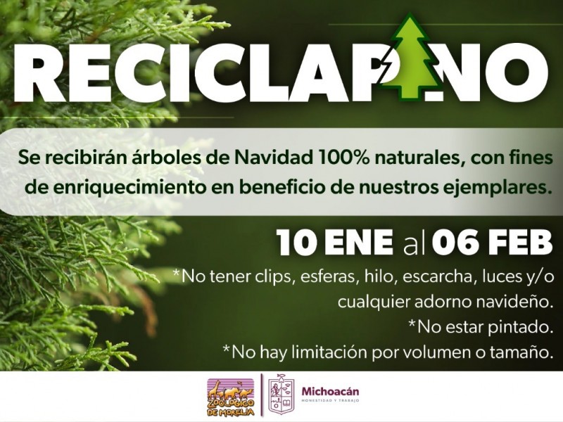 Inicia Zoológico Morelia campaña de reciclaje de árboles de Navidad