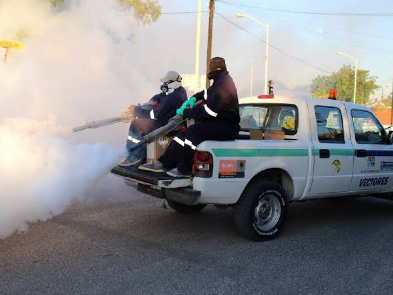 Inician acciones de fumigación para prevenir el dengue