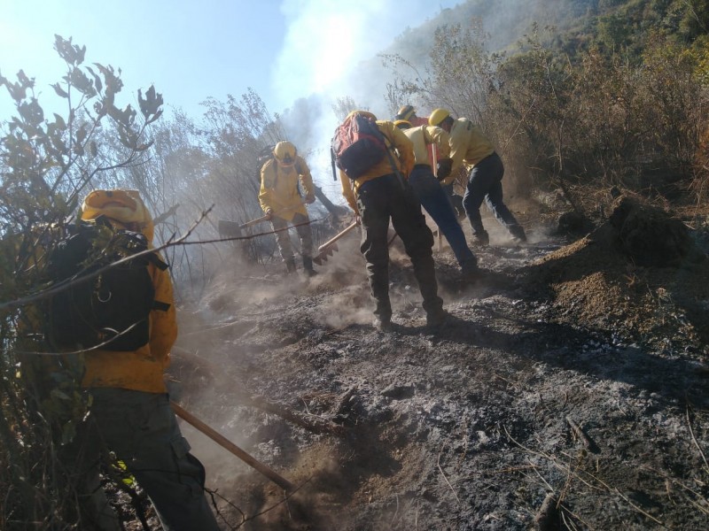 Inician autoridades labores de prevención de incendios forestales