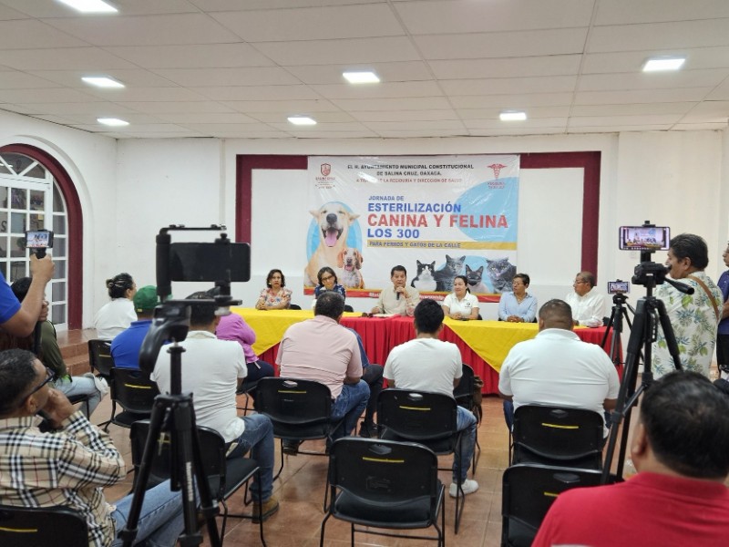 Inician campaña municipal para esterilizar animales callejeros en Salina Cruz
