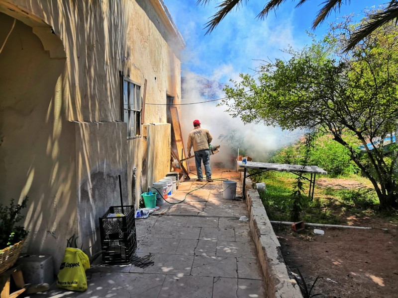 Inician con Control Larvario contra el dengue en Guaymas