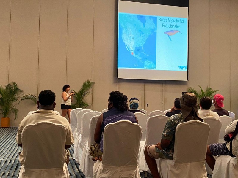 Inician cursos previo a temporada de avistamiento de ballenas