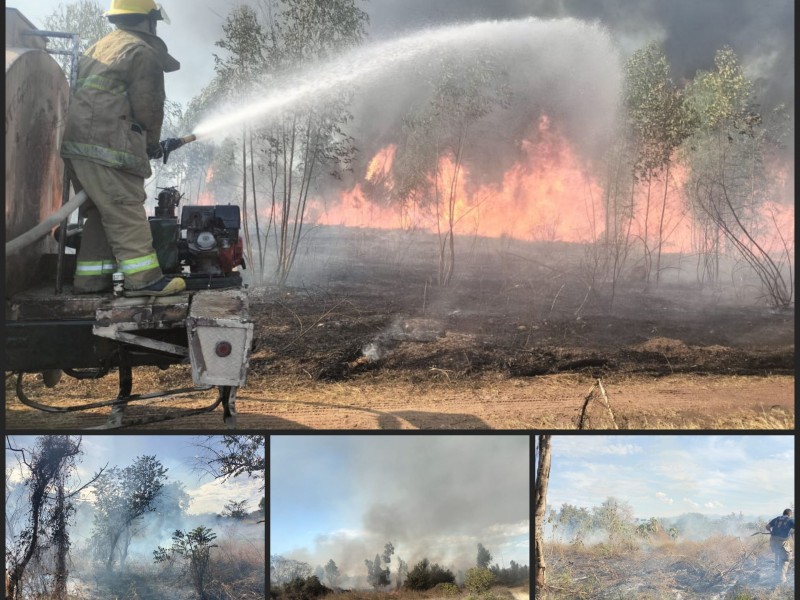 Inician fuertes incendios forestales en 3 municipios de Nayarit