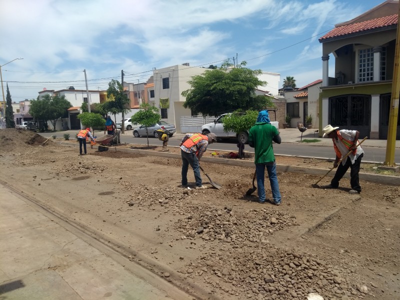 Inician obras de recarpeteo