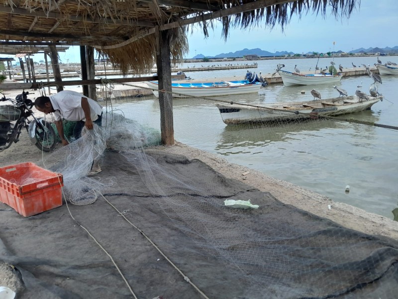 Pescadores de Bella Vista se preparan para la temporada camaronera