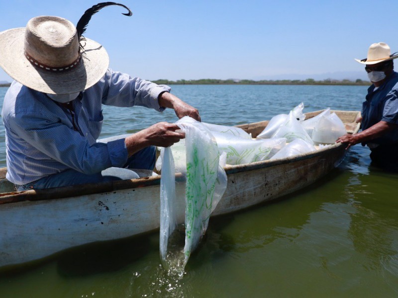 Inician reactivación económica de sector pesquero nayarita