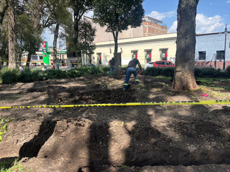 Inician remodelación de la Alameda de Toluca, retiraron plantas