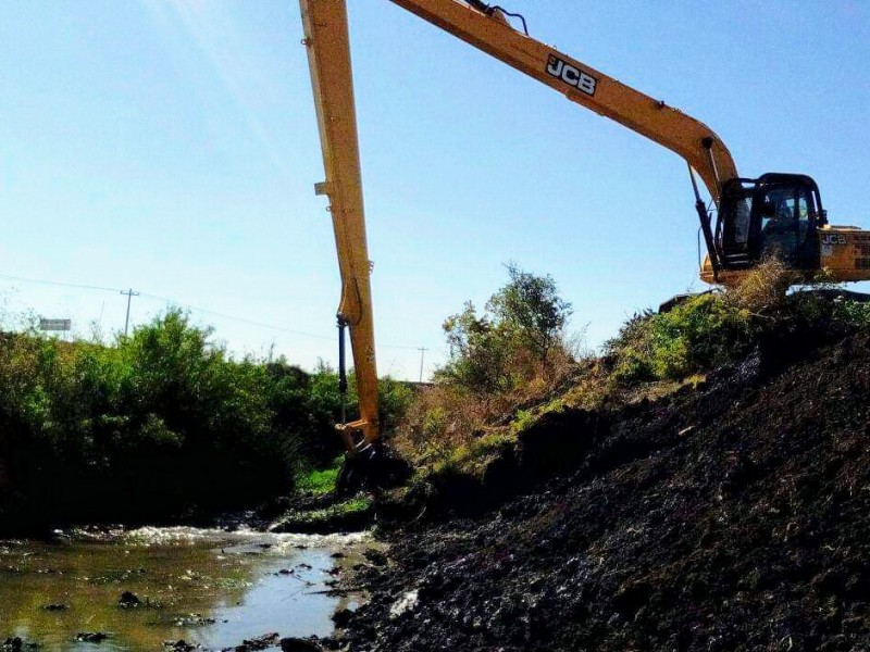 Inician trabajos de limpieza y desazolve en Zamora