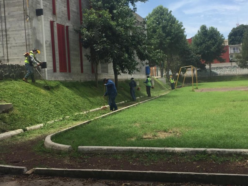 Inician trabajos de mantenimiento de áreas verdes en Xalapa