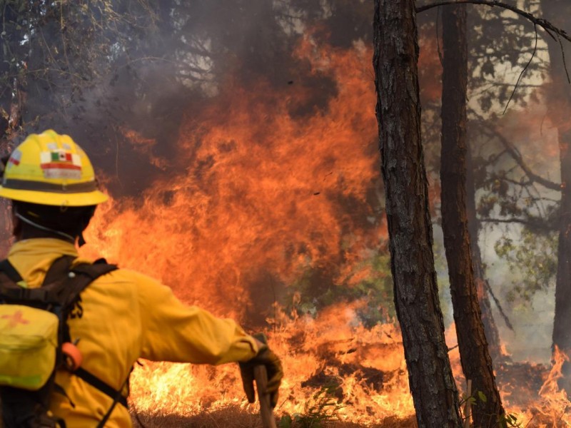 Inician trabajos de prevención de incendios forestales en Meseta Purépecha