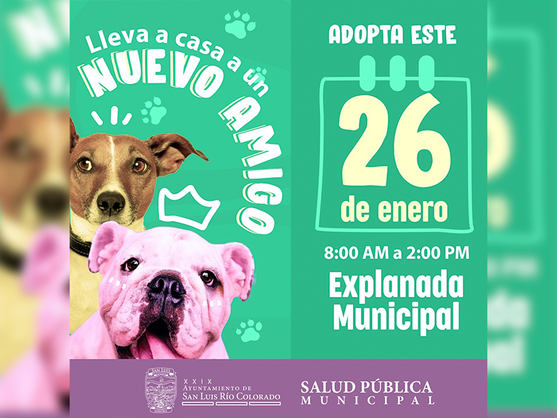 Iniciará Centro de Control Animal jornadas mensuales de adopciones