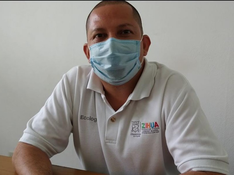 Iniciará Ecología investigación por envenenamiento a mascota en La Madera
