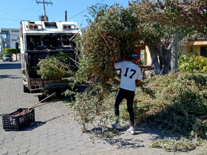 Iniciará la ruta 5 de recolección de ramas y cacharros