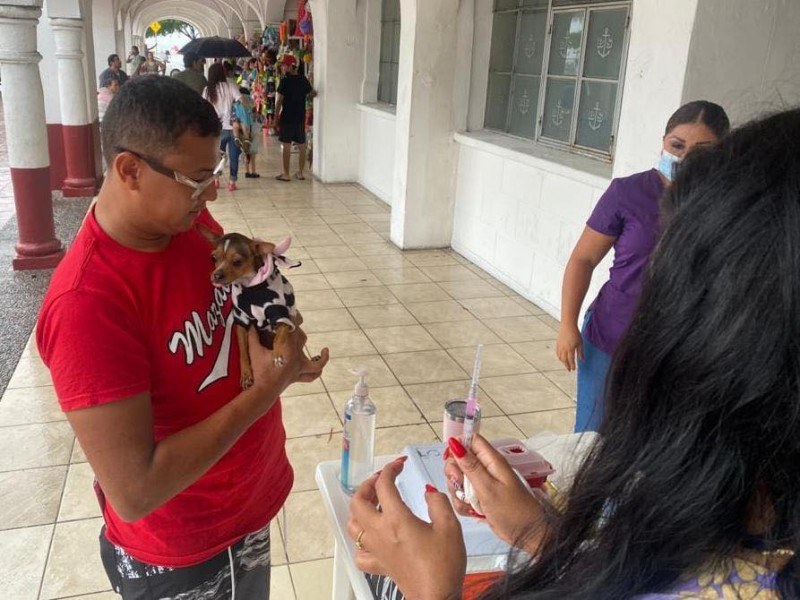 Iniciarán campaña de vacunación para perros y gatos en Manzanillo