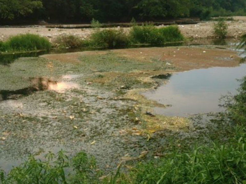 Iniciarán lucha legal para rescatar al Río Pacú