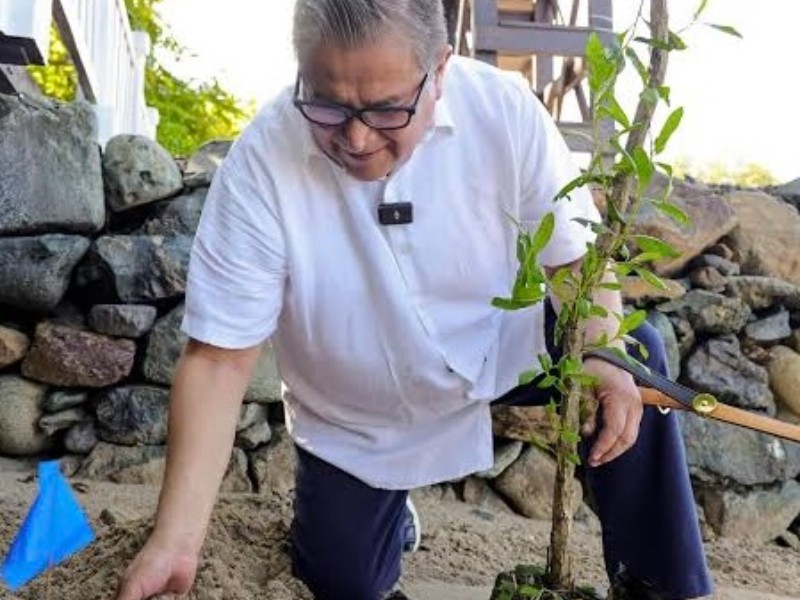 Iniciativa privada ha plantado más mangle que Profepa