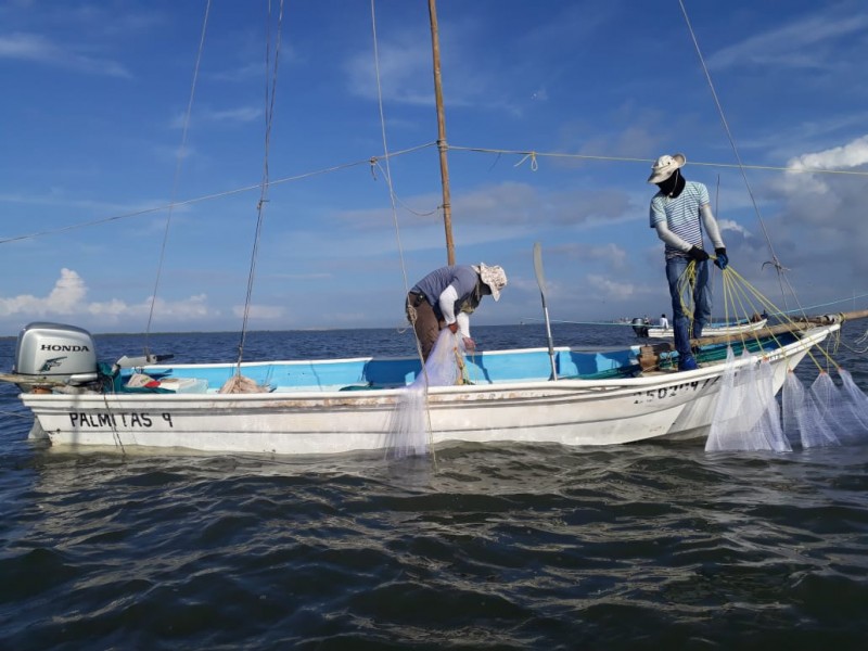 Inicio de capturas mejor que  2017: pescadores