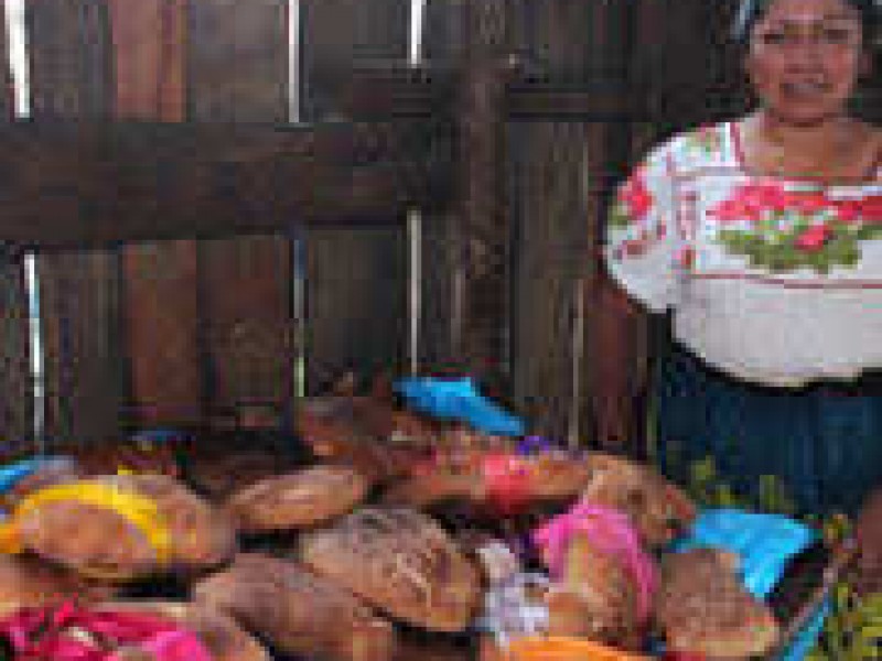 Inicio de entrega de tarjetas para programas federales