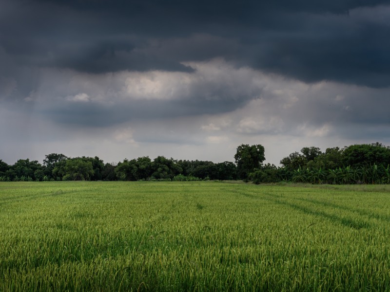 Inicio de lluvia reactiva economía de más de 300 familias