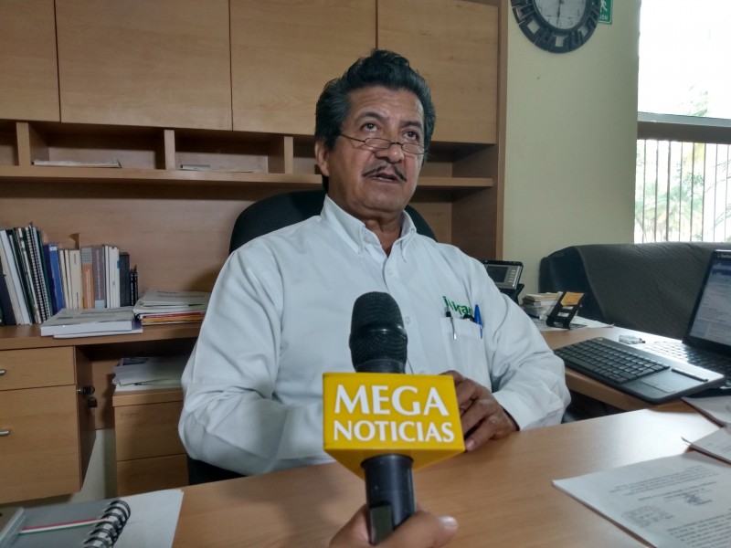 Inifap trabaja variedades de limón para tolerar plagas