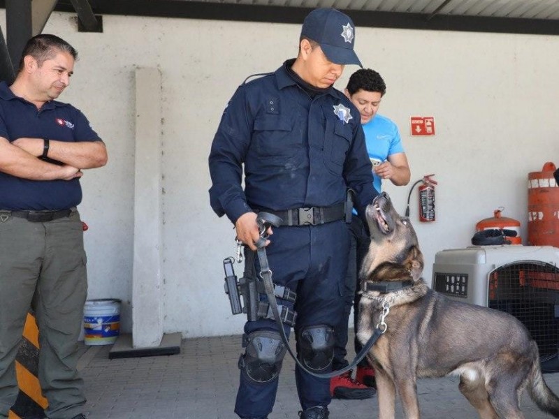 INL Realizó auditoría al Grupo Lobos K9