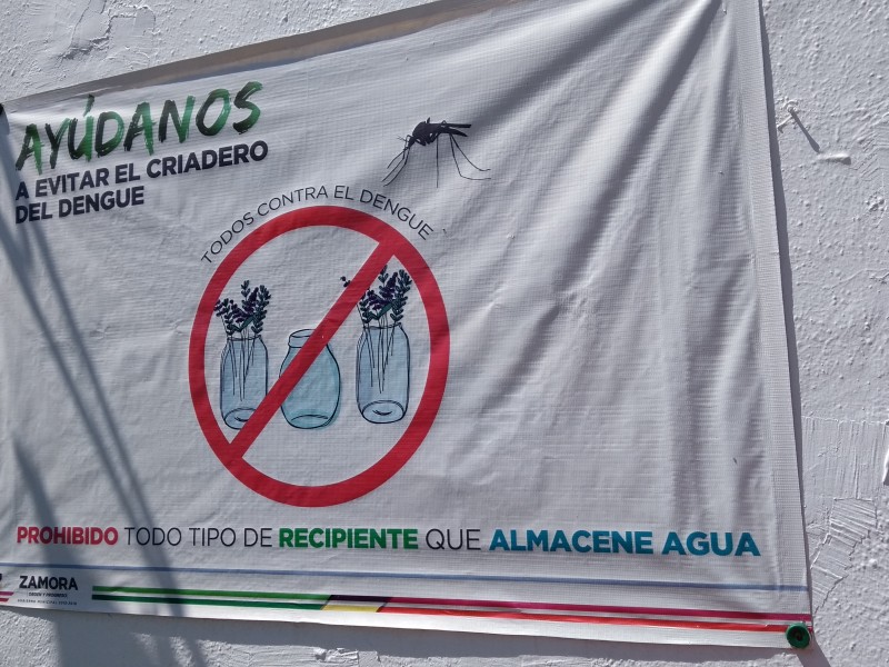 Inoperantes programas contra el dengue en Zamora