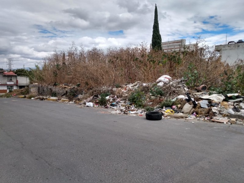 Inseguridad y basura problema en predio de colonia Tres Cruces