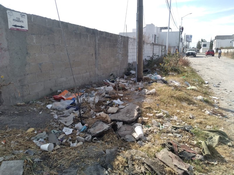 Inseguridad y falta de servicios en colonia Guadalupe Victoria