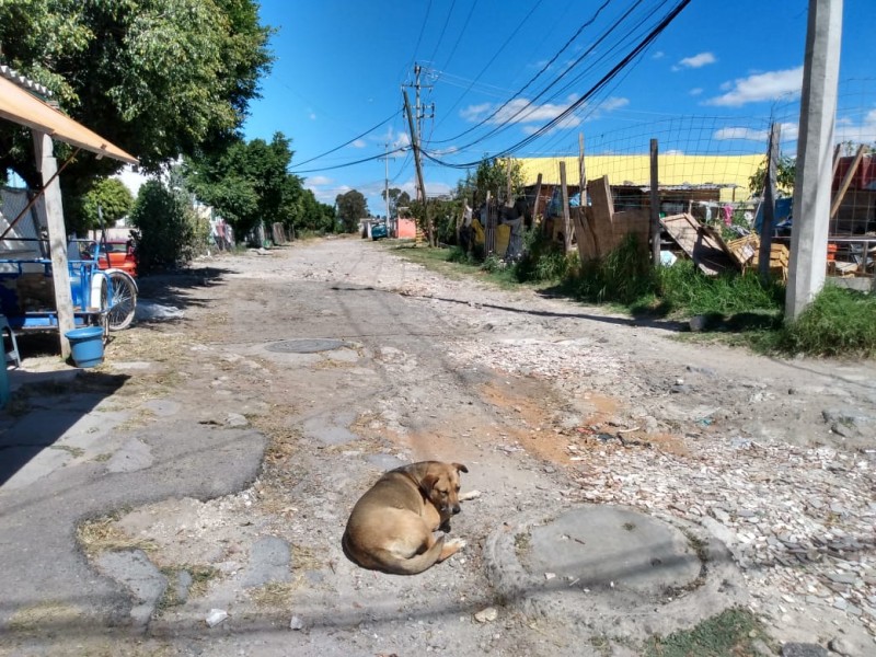 Inseguridad y falta de servicios en colonia Valle del Sur