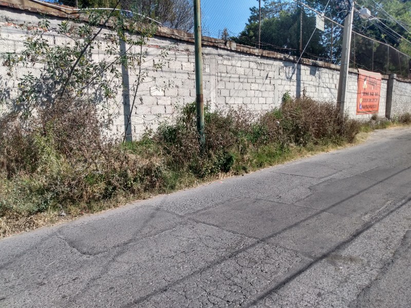 Inseguridad y maleza en colonia Villa Encantada