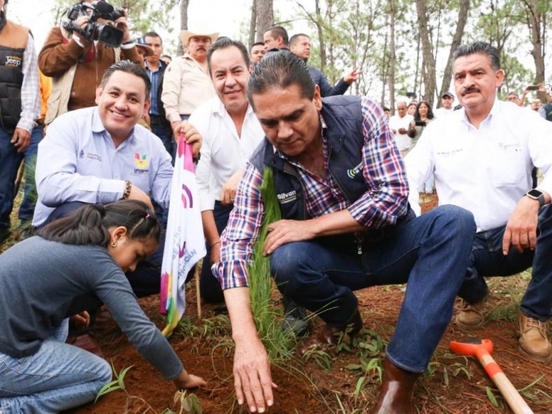 Insiste Silvano en conciencia para proteger áreas reforestadas