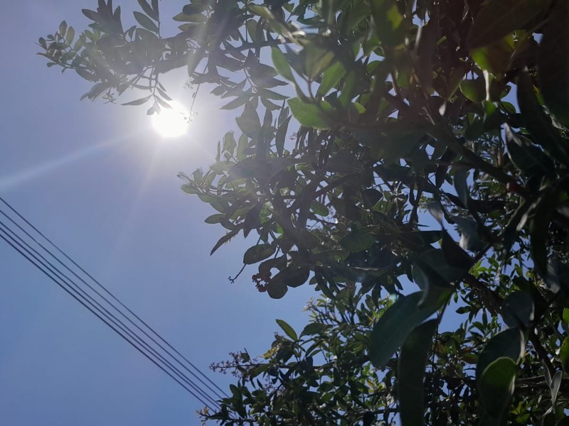 Insolación y golpes de calor, similitudes y diferencias