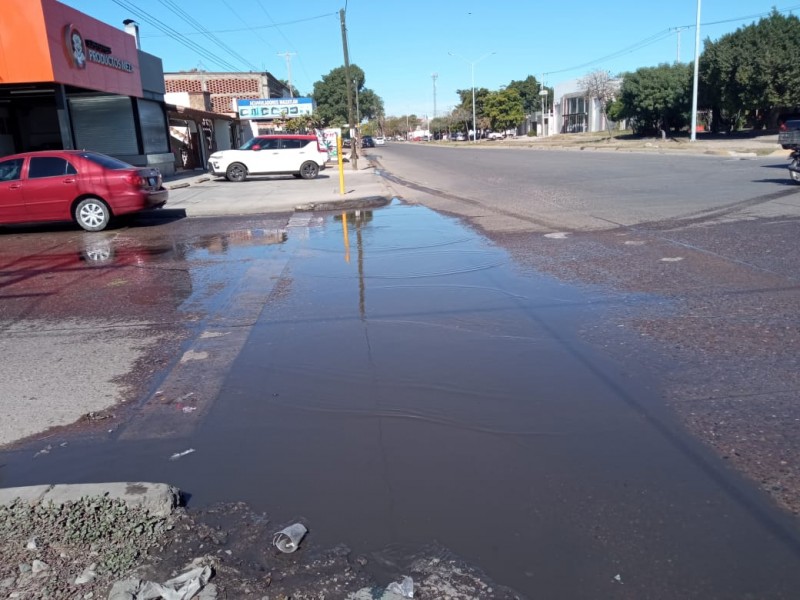 Insoportables las aguas negras en la colonia Toledo