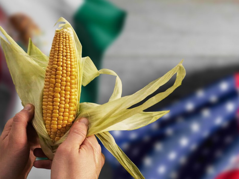Instala EU panel contra México por maíz