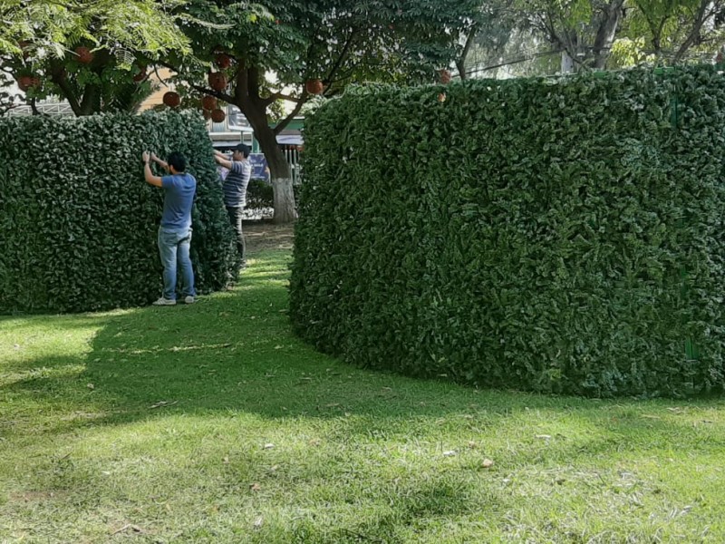 Instalan árbol monumental en la Villa Navideña