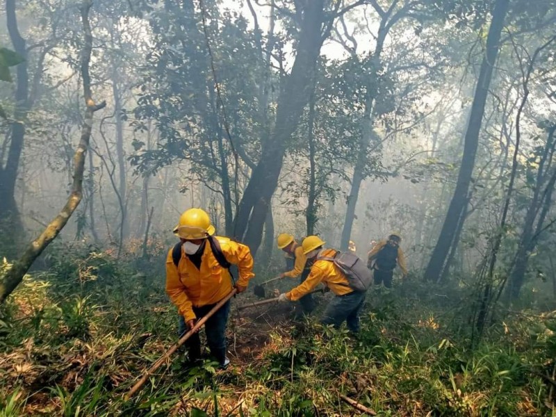 Instalan Centro de Acopio para brigadistas de incendios en Veracruz