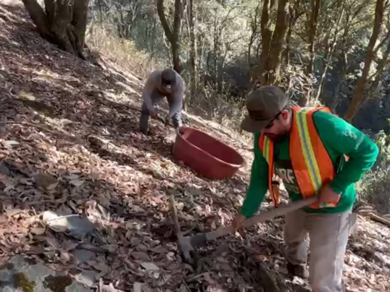 Instalan oasis en Cerro Viejo para preservar vida silvestre